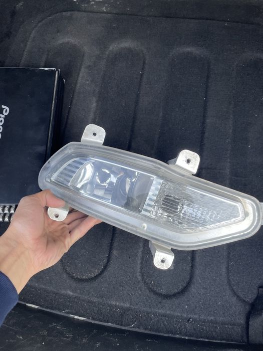 Жентра туманка. Gentra tumanka. Jentra tumanka