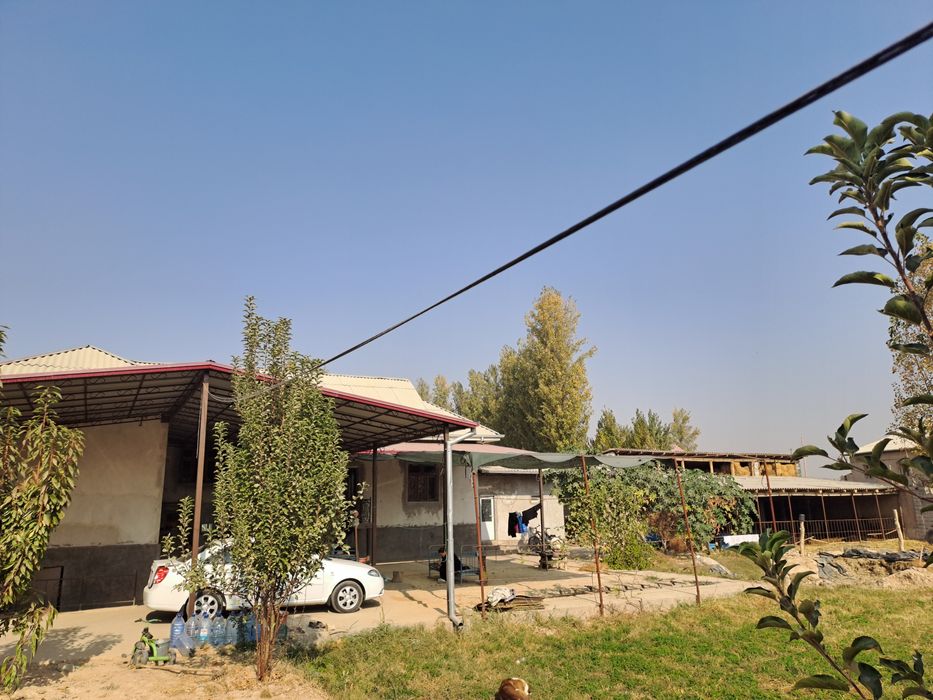 Уй сотилади, Тошкент вилояти, Чиноз тумани, Тонг юлдизи махалласи,