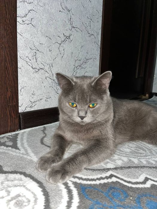 Вязкага киз мушуклани таклиф киламиз