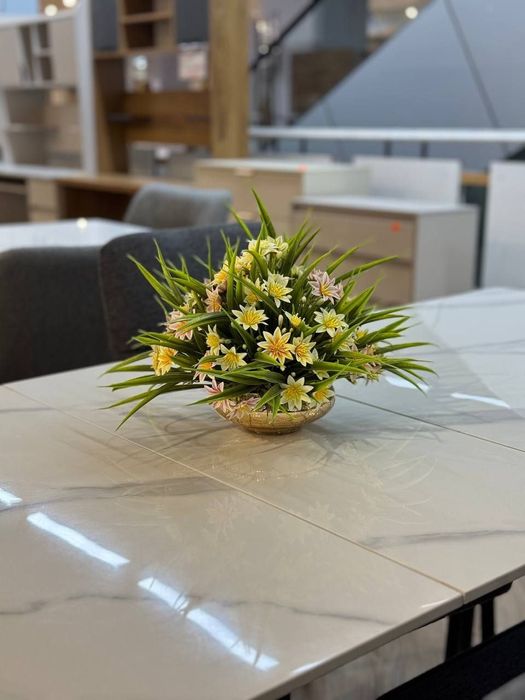 Обеденный стол стул 6/1