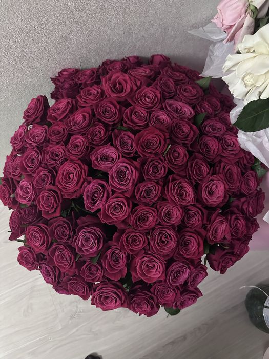 Продом букет, свежие розы 101 штук