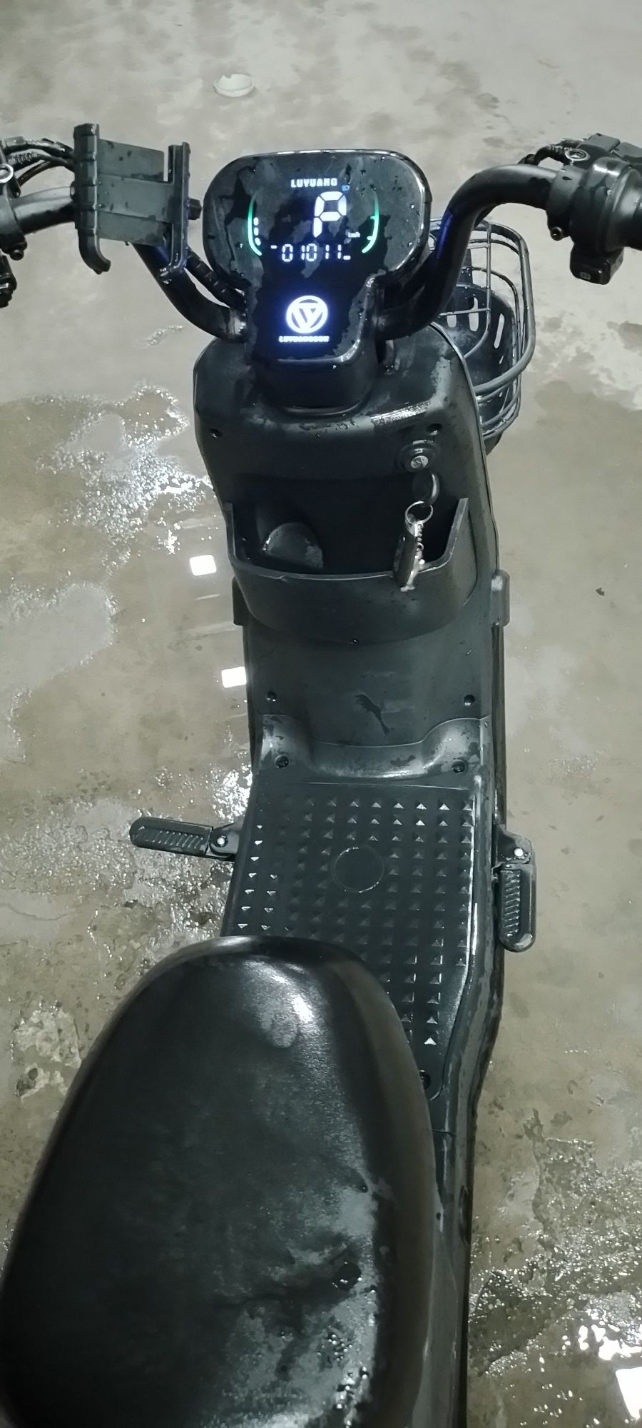 Moped bodo  m480