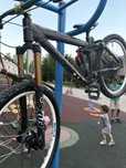 Vand bicicleta FREDDY 2