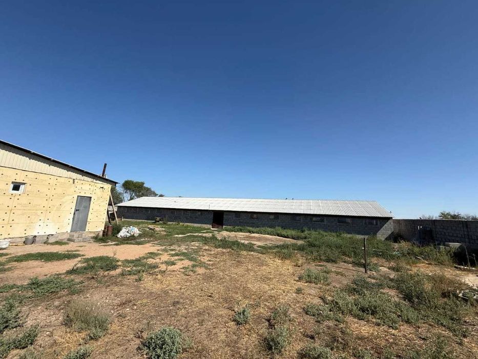 Срочно продам откормочную базу на 80-100 голов