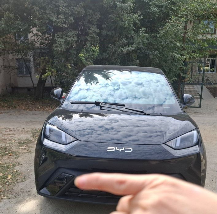 Byd seagull sotiladi