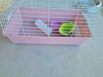 Vand cusca iepure pitic 60x37x35