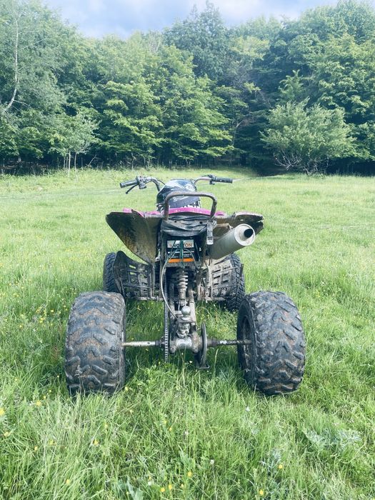 Vand atv bashan 250!