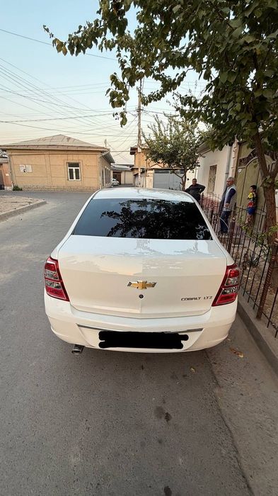 Cobalit 2024 ltz