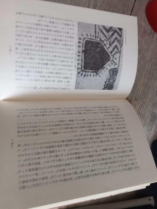 Продается книга с иллюстрациями