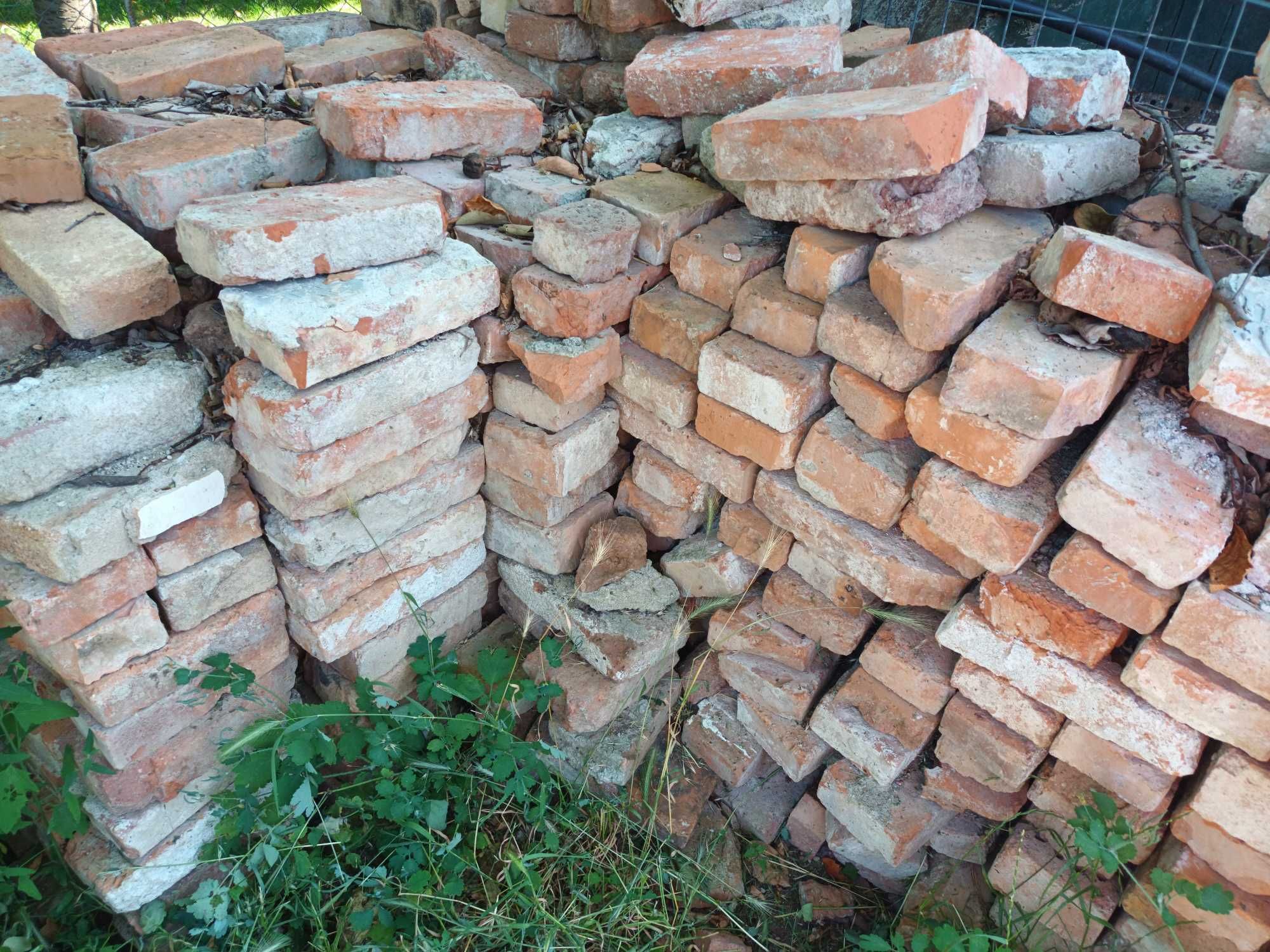 Cărămidă plină  2 lei buc.