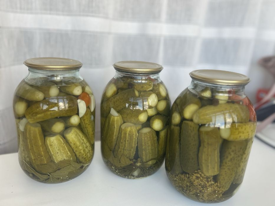 Продам соленые огурцы