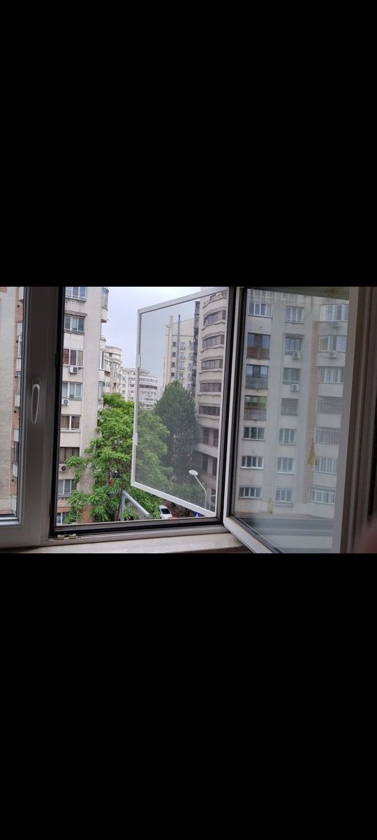 Plase țânțari si insecte