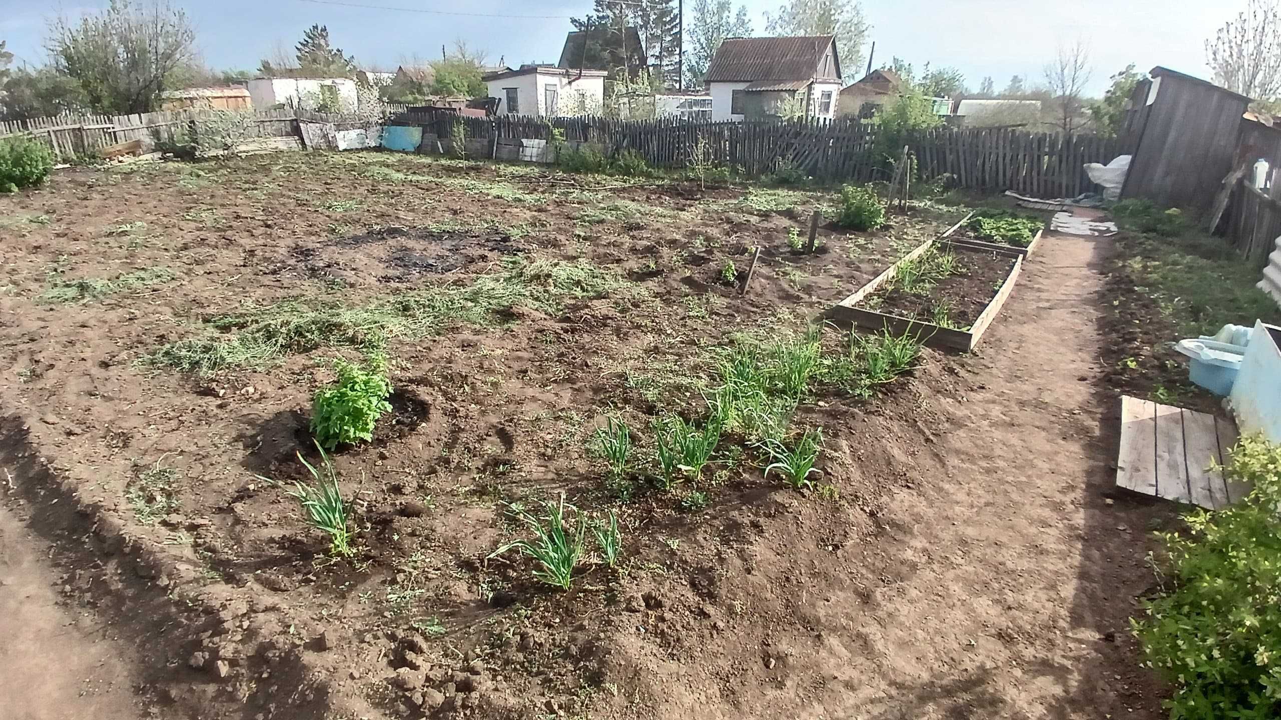 Продам дачный участок с домиком. Срочно