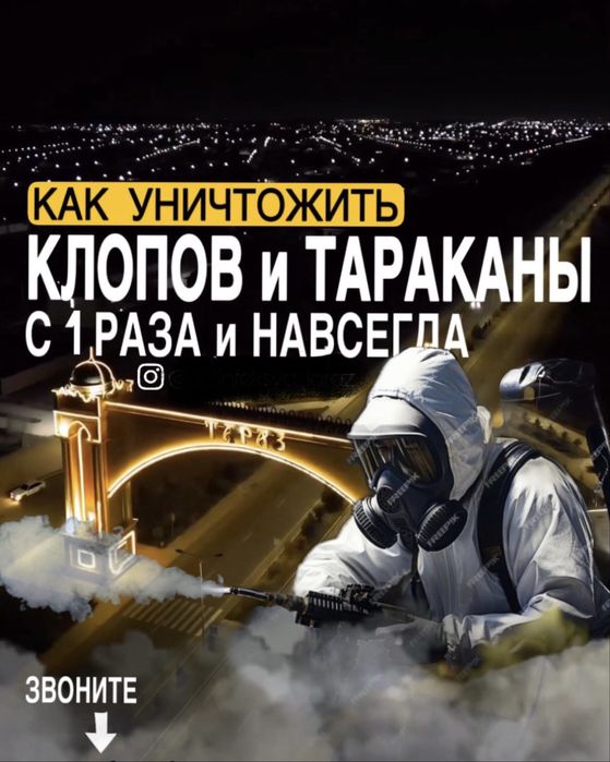 Дизенфекция Дизинфекция Тараз клопы тараканы