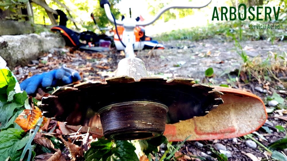 Cosire curatare defrisare tocare iarba arbusti rugi ambrozie maracini