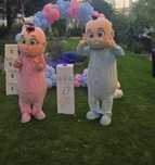 Vand mascote gender reveal