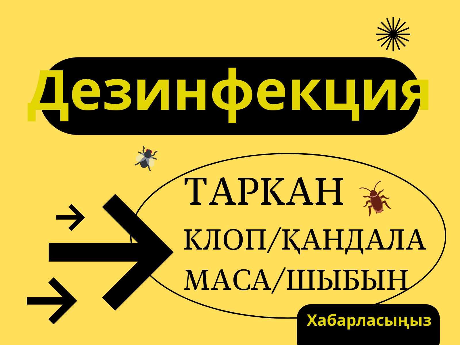 Дезинфекция таракан, клоп, қандала, маса, шыбын | Kaspi RED