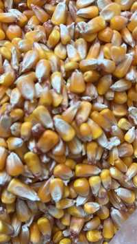 Отруби Пшеница Кукуруза Ячмень
