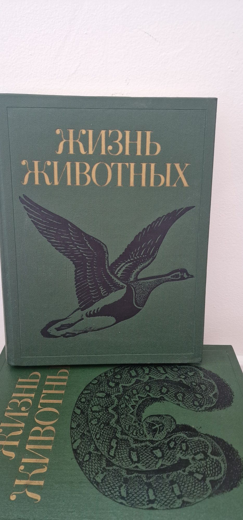 Живот на животните