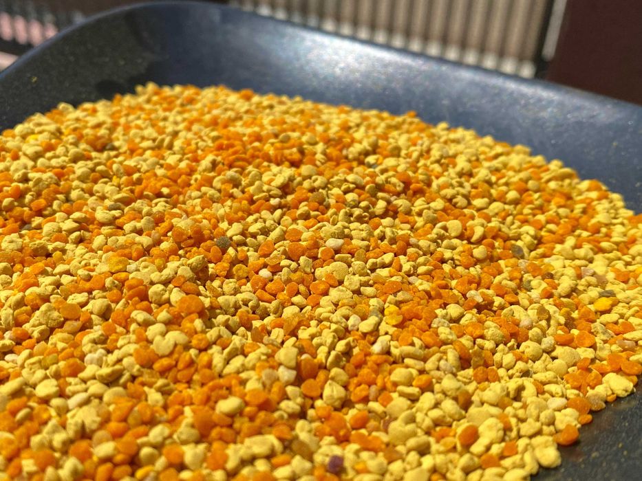 Polen, propolis , pastura, faguri cu miere ,   en-gros sau en-detail d