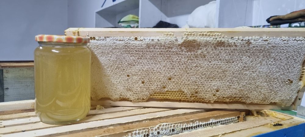 Пчелен мед. Акация, Липов и билков мед