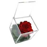 Trandafir criogenat rosu si licheni stabilizati cutie tip plexiglass