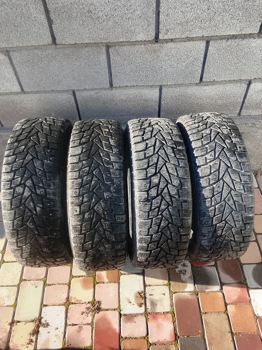 Шины Dunlop шипованная