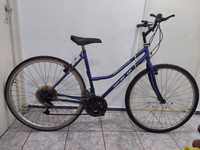 Vand bicicleta adulti