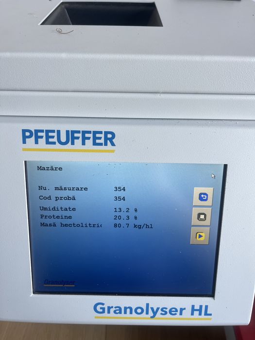 Mazăre de primăvara Audit