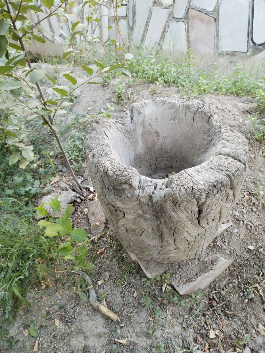 Bu bug'doy yanchgich(o'g'ur). Ancha yildan beri shaklini yo'qotmagan