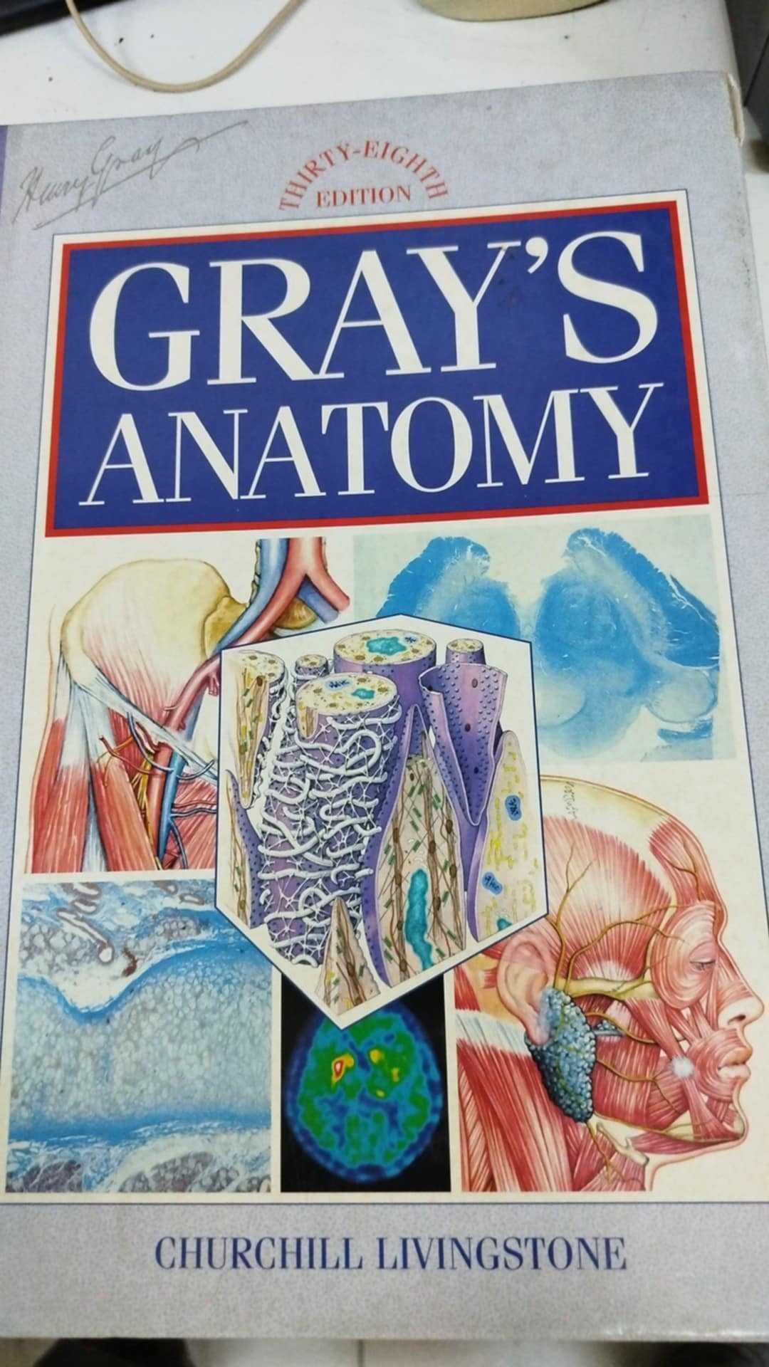 atlas de anatomie