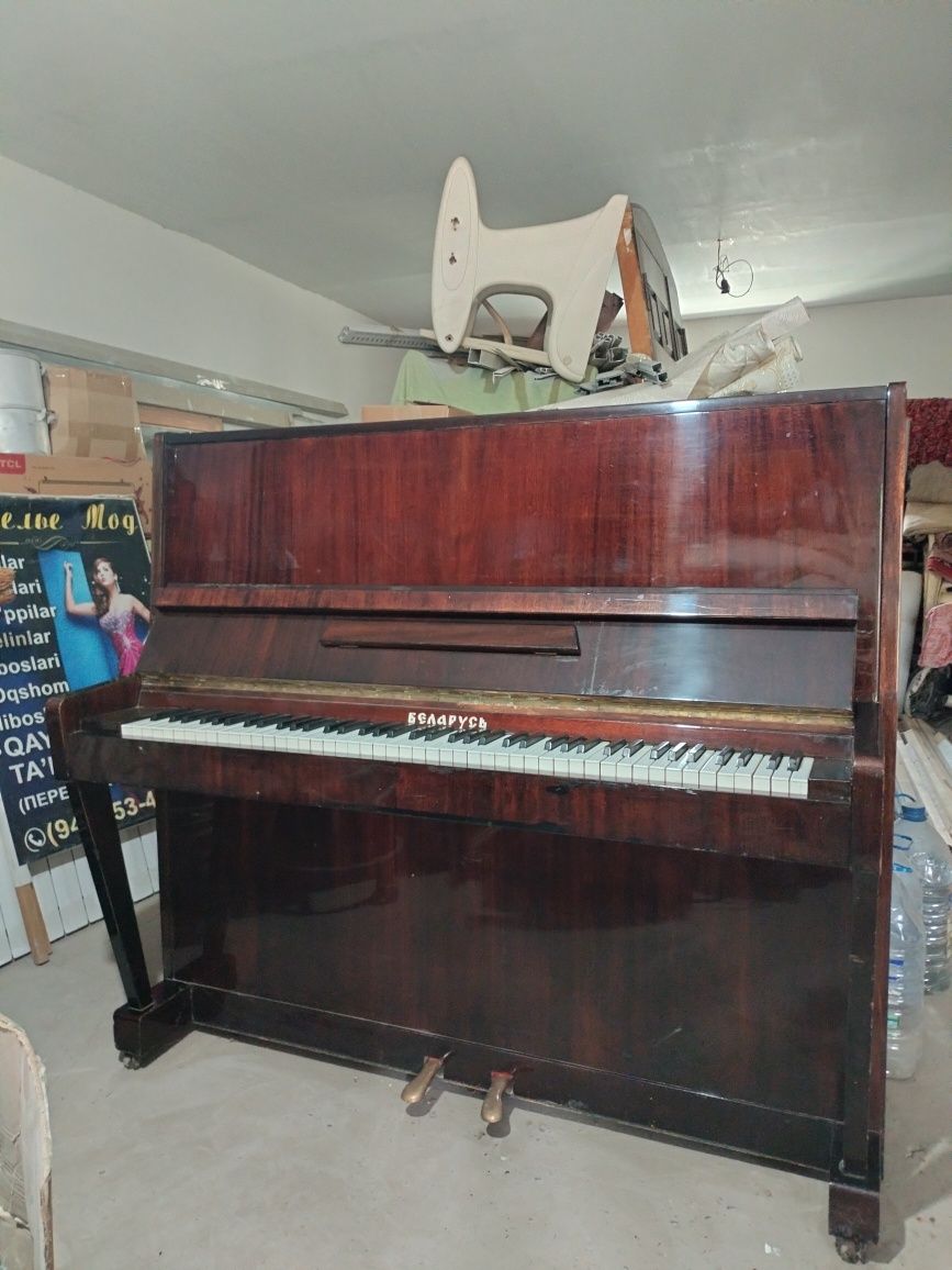 Pionina sotiladi