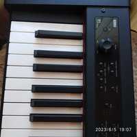Электронное пианино Korg d1