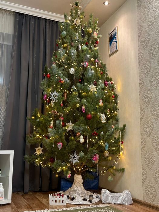 Вы можете приобрести живые,пышные сосны и ели.