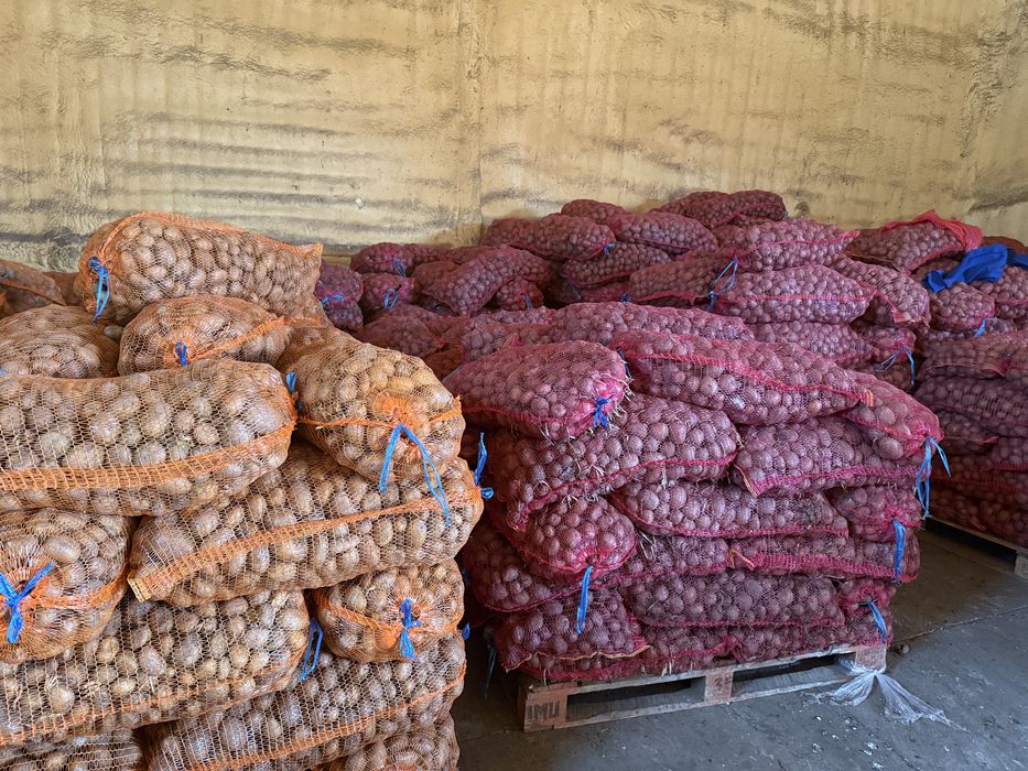 Cartofi de samanta sau animale