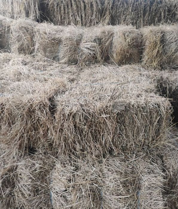 Baloți de fân  schimb pe animale