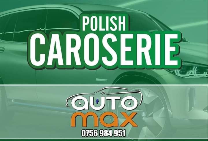 Polish Auto Profesional (AUTO MAX)