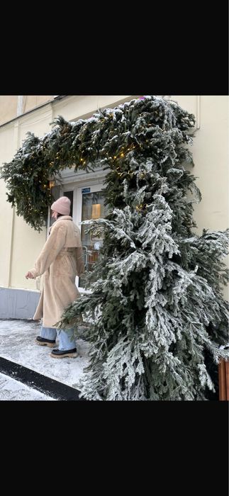 Экошуба Franchesco donni