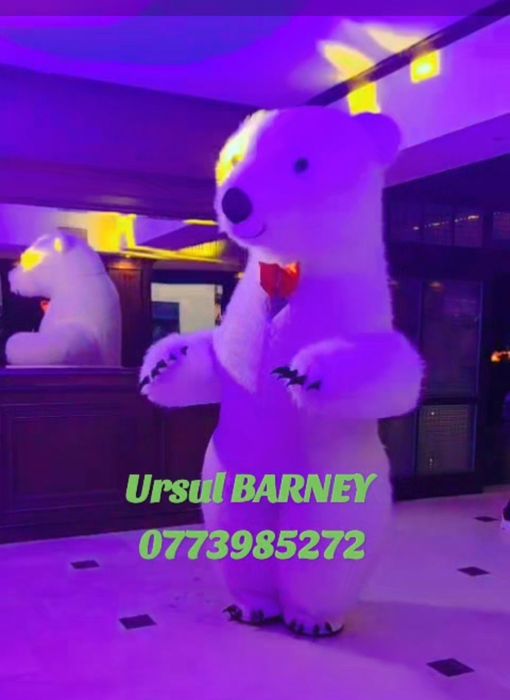 URSUL BARNEY  Spectaculos