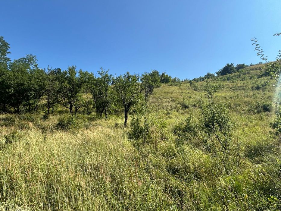 Teren extravilan de vânzare in loc. Nehoiu