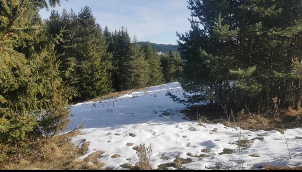 Парцел село Лилково обшина Родопи на 29 км южно от плводив