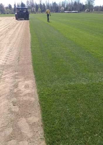 Gazon Rulou Sisteme de irigare si insamantare