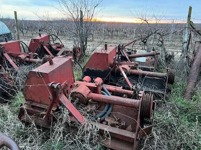 Tocatori iarba si corzi