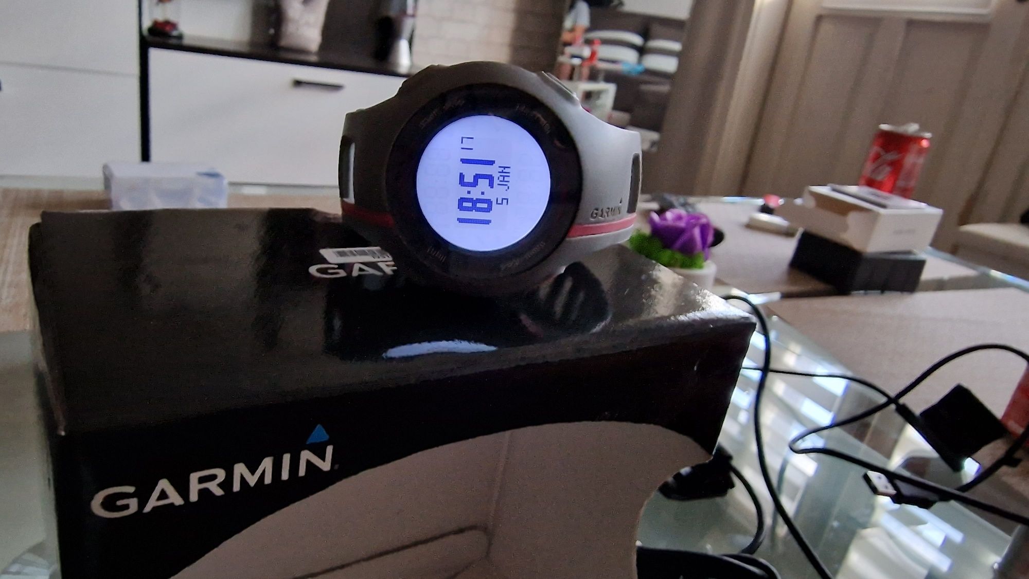 Garmin Forerunner 110