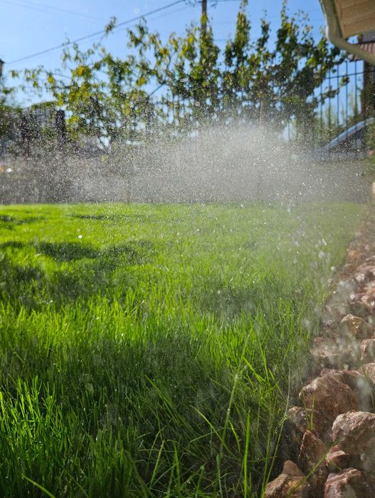 Îngrijire gazon, scarificare, aerare, însămânțare, irigații #Gardenix