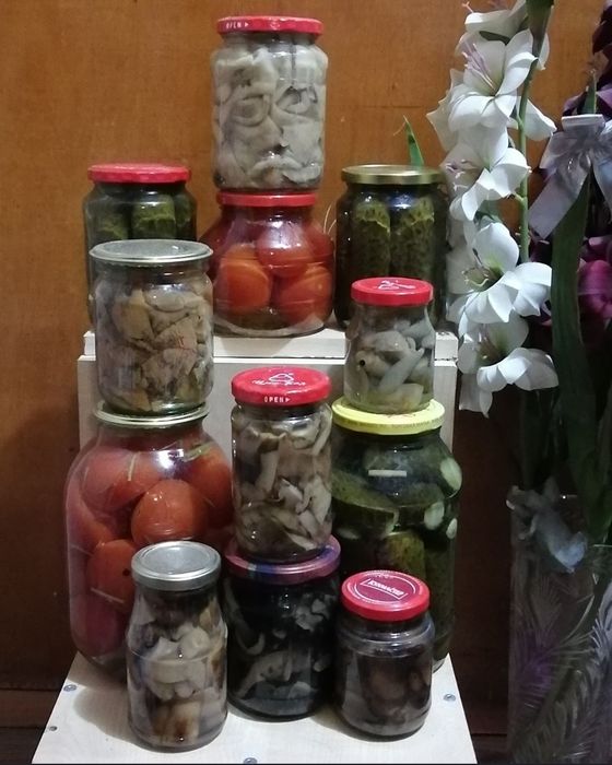 Продаю солёные огурцы, помидоры, грибы, лечо, соки.