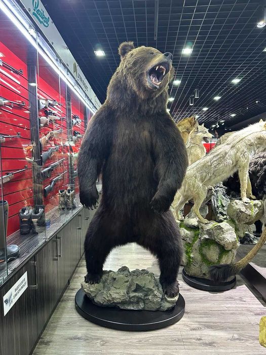 Продам маникен огромного медведя