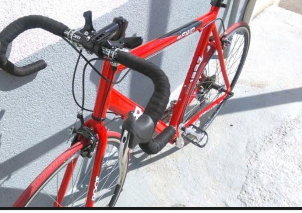 Toza germanskiy gonchik