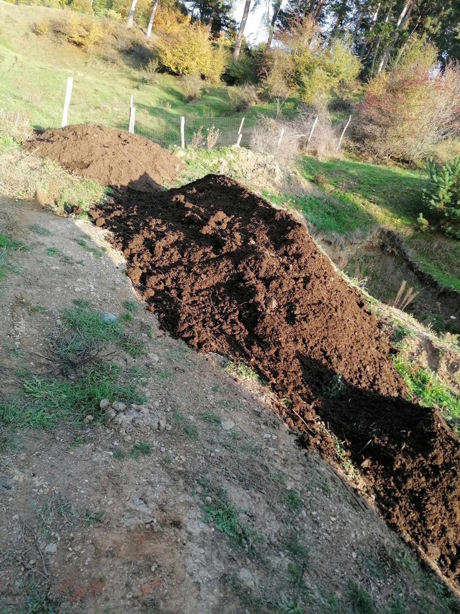 Balegar mranita putred de oaie ,gunoi de grajd uscat si curat de 3 ani