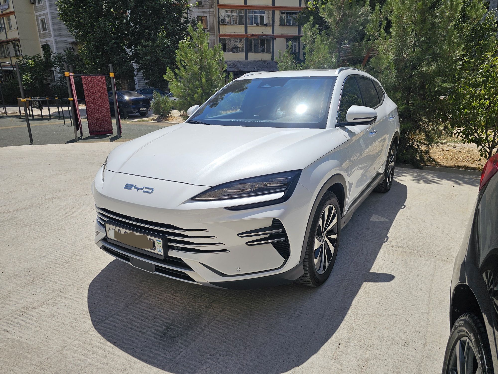 BYD чемпион 110 тали